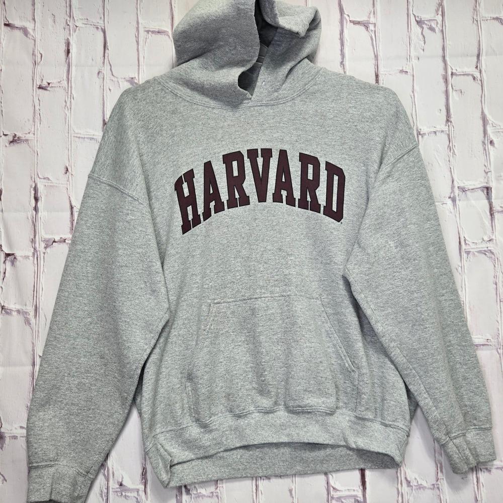 Y2K Harvard University Graphic Gildan Heavy Fleece Pullover Preppy Mens Sz Large